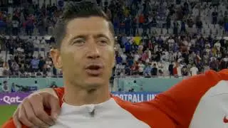 Robert Lewandowski 4k Free Clip | Clip For Edit ●Fifa World Cup Qatar 2022●