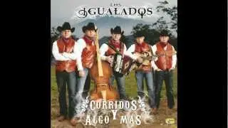 Los Igualados - El Pesudo