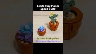 LEGO 10329 Tiny Plants Speed Build - Eastern Prickly Pear & Britton's liveforever #lego #stopmotion