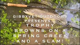 BEST DAY EVER?!?  TROUT SLAM AND TROPHY BROWNS ON A SPRING CREEK
