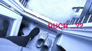 Eichh&ouml;rnchen-Familientreffen auf dem Balkon