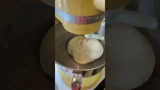 KitchenAid Professional 600 Kneading Bread Dough