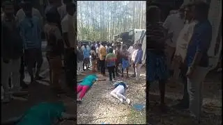 Tourist bus Accident🥺 Munnar ecopoint near (19/02/25)#munnar #accident #news #busaccidents #sad