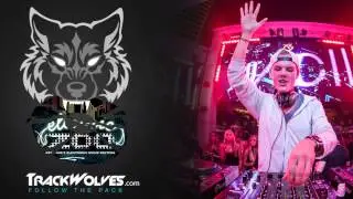 Avicii - Live @ Electric Zoo 2013 (NYC) - 30.08.2013
