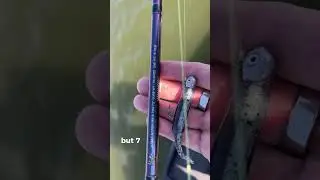 Go-To Jighead Minnow Rod