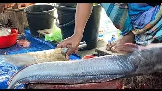 Real Fish Blogger // 