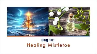 Christmas Alchemy Day 18 - THE HEALING POWER OF MISTLETOE