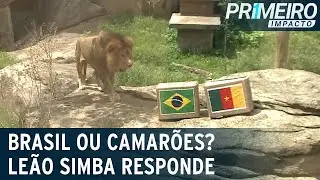 Palpite exclusivo: leão prevê vencedor de Brasil x Camarões no Mundial | Primeiro Impacto (02/12/22)