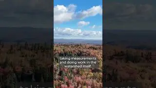 Working in the Turkey Lakes watershed