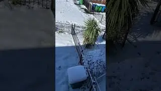 From snow to sunshine.Sunny view after snowfall 🌦️🌦️🌤️