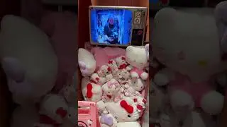 Это магазин праздник. Мой абсолютный краш и позитив. #oldorder #подкрадули рулят #бархатныетяги
