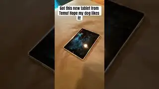 Got the Temu tablet for only 3 dollors!