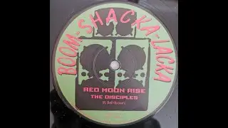 BSL 12″ VINYL RECORD “RED MOON RISE