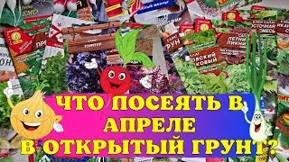 СВОЯ зелень УЖЕ НА МАЙСКИЕ ПРАЗДНИКИ! Овощи, которые СЕЕМ В АПРЕЛЕ В ОТКРЫТЫЙ ГРУНТ!