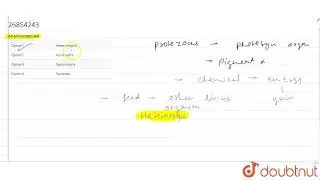 All protozoans are  | 11 | BIOLOGICAL CLASSIFICATION | BIOLOGY | A2Z | Doubtnut