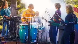 Babe Rainbow - Morning Song (LEVITATION Sessions)