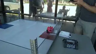 Bullet Ant vs Smash Hit