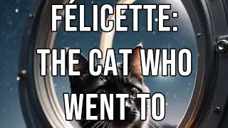 F&eacute;licette: The Cat Who Went to Space #cat #cats