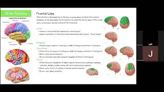 International Synapse Contest | Neuroscience 102 session 1