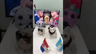 MarsCat | See whether metaCat and MarsCat's predictions are correct or not~