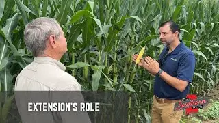 Программа 1201B Alabama Extension делает это.