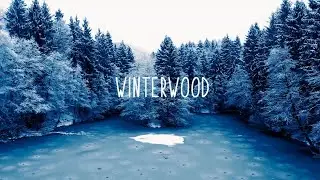 Winterwood by Shea Ernshaw : Book Trailer