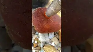 Jade hunting in mining #diamond #crystals #jade #agate #gemstones #petrifiedwood