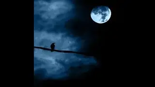 @indiedel200x : Mininoticia - Por qué existe la noche?