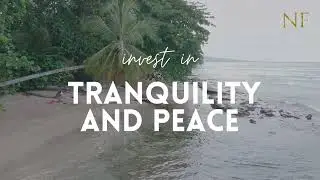 Discover Hotel Casa VitoInvest in a unique gem facing the Caribbean Sea