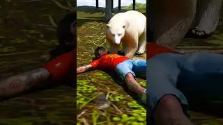 How To Survive Bear Attack?
