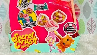 We got a new Secret Crush Mini! | Toy Tiny