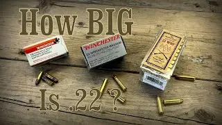 22 LR vs 22 WRF vs 22 WMR