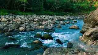 Serene Gentle River ASMR | For Instant Sleep & Relaxation