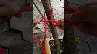 Tying a quick release dragon loop knot.#shorts #knots
