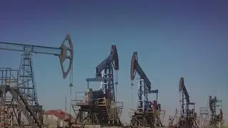 Economist weighs in after Trump urges U.S. firms to invest in Venezuela oil