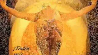 SANACIÓN CUÁNTICA (poesía)