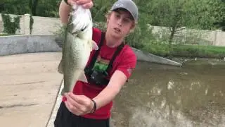 Catching bass on the frog In a drainage ditch!?