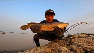 Caught a huge fish with my dog | Survival catch & cook