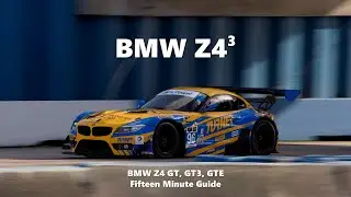 Z4^3: BMW Z4 GT (E85), GT3 (E89), GTE (E89) - Пятнадцатиминутное руководство