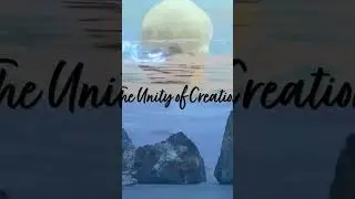The Unity of Creation #shorts