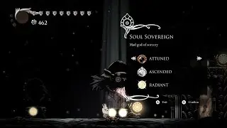 Soul Paladin / Soul Sovereign - Hollow Knight Modded Bosses