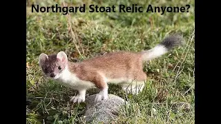 Northgard: Stoat Relic Discussion