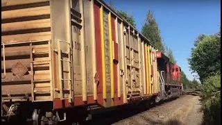 CN Safety Inspection! CN combo train (containers, grain, etc)