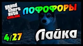 GTA 5 PS4 ЛОФОФОРЫ - ЛАЙКА (+Карта)(4/27)