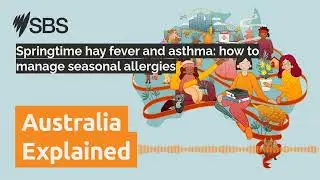 Springtime hay fever and asthma: how to manage seasonal allergies | Australia Explained
