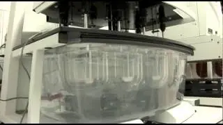 CATALENT - INSTITUCIONAL