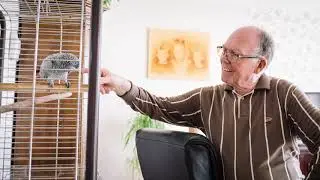 De Moeraseik - Zorgboog