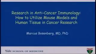 Research in Anti-Cancer Immunology: How to Utilize Mouse Models and Human Tissue in Cancer Research