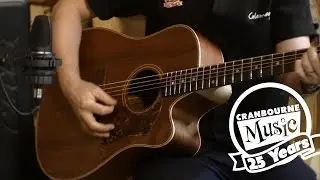 Cole Clark Fat Lady 2 - FL2EC-BLBL - Tasmanian Blackwood Top Back and Sides