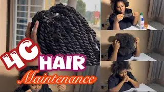 Braiding My Own Hair|Stopping Hair Shedding | Easy hair Care Routine & Growth Tip for 4c hair